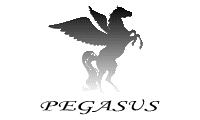 PEGASUS